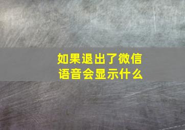 如果退出了微信 语音会显示什么